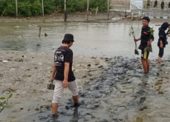 tanam-mangrove-rembang