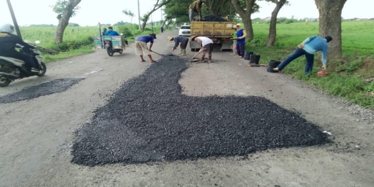 1741146574399_copy_800x450