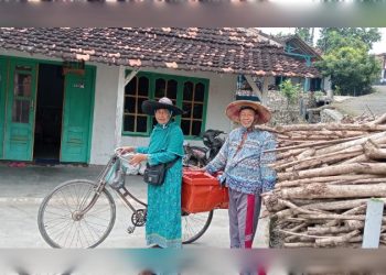 img-20250505-wa0012_copy_800x450